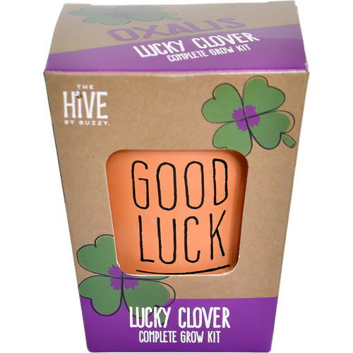 Inspirational Grow Kit - Lucky Clover