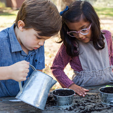 Kids Strawberry Mini Basin Grow Kit | Alpine Strawberry