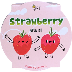 Kids Strawberry Mini Basin Grow Kit | Alpine Strawberry