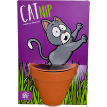 Whimsical Grow Kit - Cat Nip