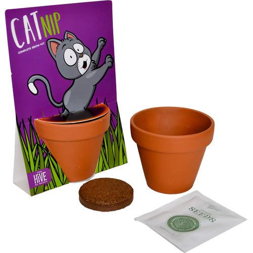 Whimsical Grow Kit - Cat Nip