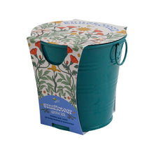 Painted Flower Grow Pail - Sunflower Grow Kit