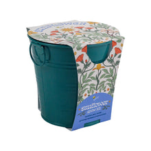 Painted Flower Grow Pail - Sunflower Grow Kit