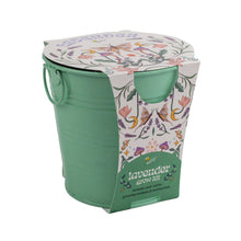 Lavender Grow Kit Painted Flower Grow Pail