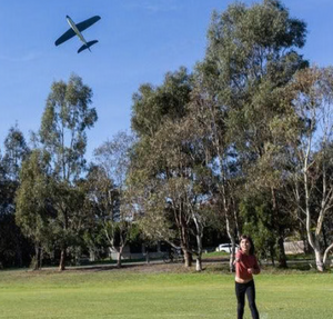 Shark Glider